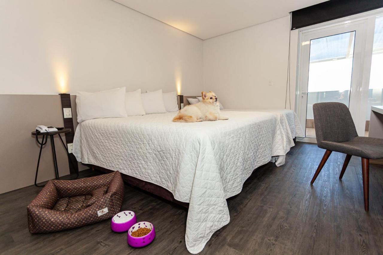 Travel Inn Hotels Caxias Do Sul Exteriör bild